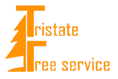 Tristate Tree Service